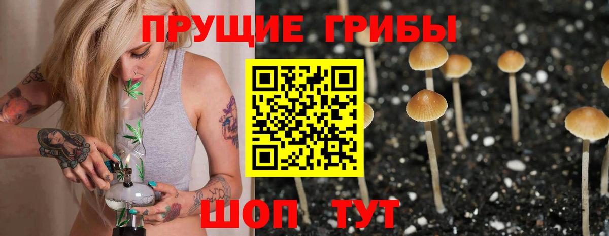 Ярцево  Псилоцибиновые грибы Magic Shrooms  Вход с VPN 